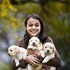 Canine/Pet Report